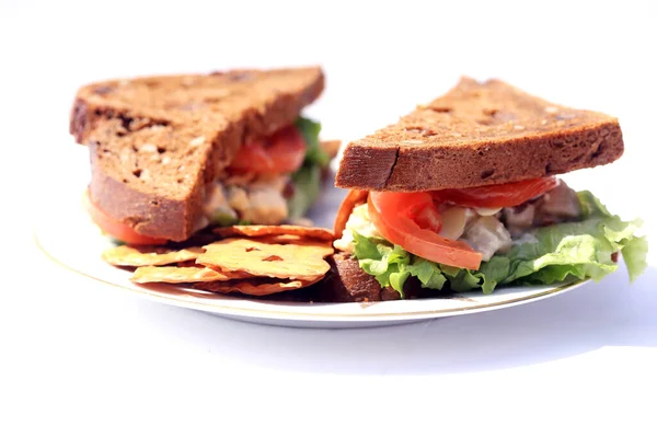 Chicken Salad Sandwich Multi Grain Bread Lunch Concept Chicken Salad — Fotografia de Stock