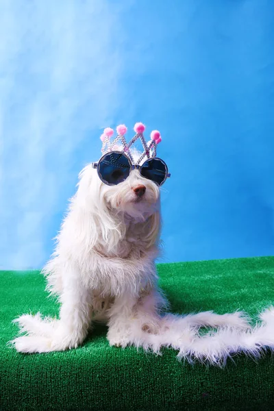 Cute Dog with Easter Basket