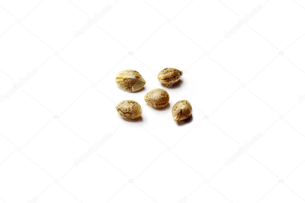 close up view of Marijuana Seeds