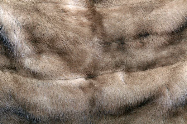 Close Vintage Mink Fur Coat Beauty Fashion — 图库照片