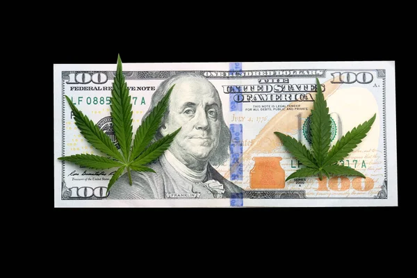 Marijuana Leaf One Hundred Dollar Bill Cannabis Leaf Laying 100 — Stock fotografie