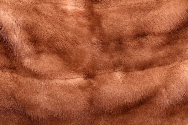 Close Vintage Mink Fur Coat Beauty Fashion — 图库照片