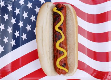 4th of July. A hot dog in a bun with yellow mustard on an American flag paper plate. isolated on white. 4th of July Picnic. Hot dog with mustard.