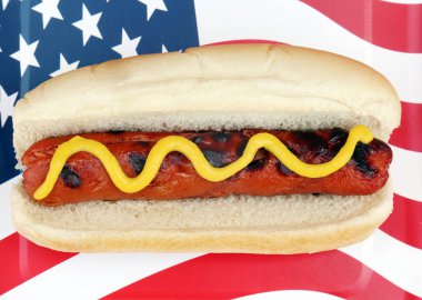 4th of July. A hot dog in a bun with yellow mustard on an American flag paper plate. isolated on white. 4th of July Picnic. Hot dog with mustard.