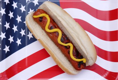 4th of July. A hot dog in a bun with yellow mustard on an American flag paper plate. isolated on white. 4th of July Picnic. Hot dog with mustard.