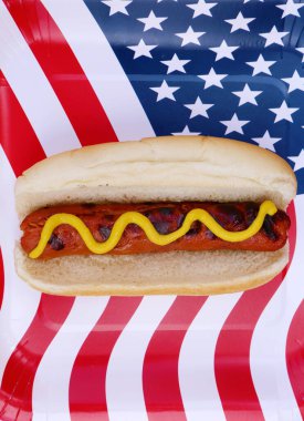 4th of July. A hot dog in a bun with yellow mustard on an American flag paper plate. isolated on white. 4th of July Picnic. Hot dog with mustard.