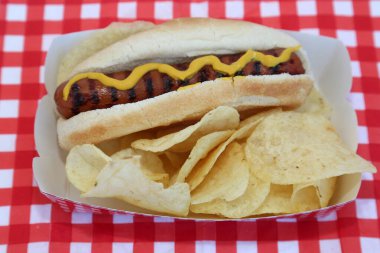 Hot Dog. Hot Dog in Bun with Yellow Mustard and Potato Chips on a Red and White Checker Paper Napkin. Isolated on white. Room for text. 4th of July and Summer Concepts
