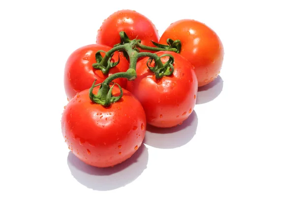 Tomato. Fresh Vine Ripened Tomato\'s isolated on white. room for text. Fresh Beef Stake Tomato. Cherry Tomato. Farm Fresh Tomato.