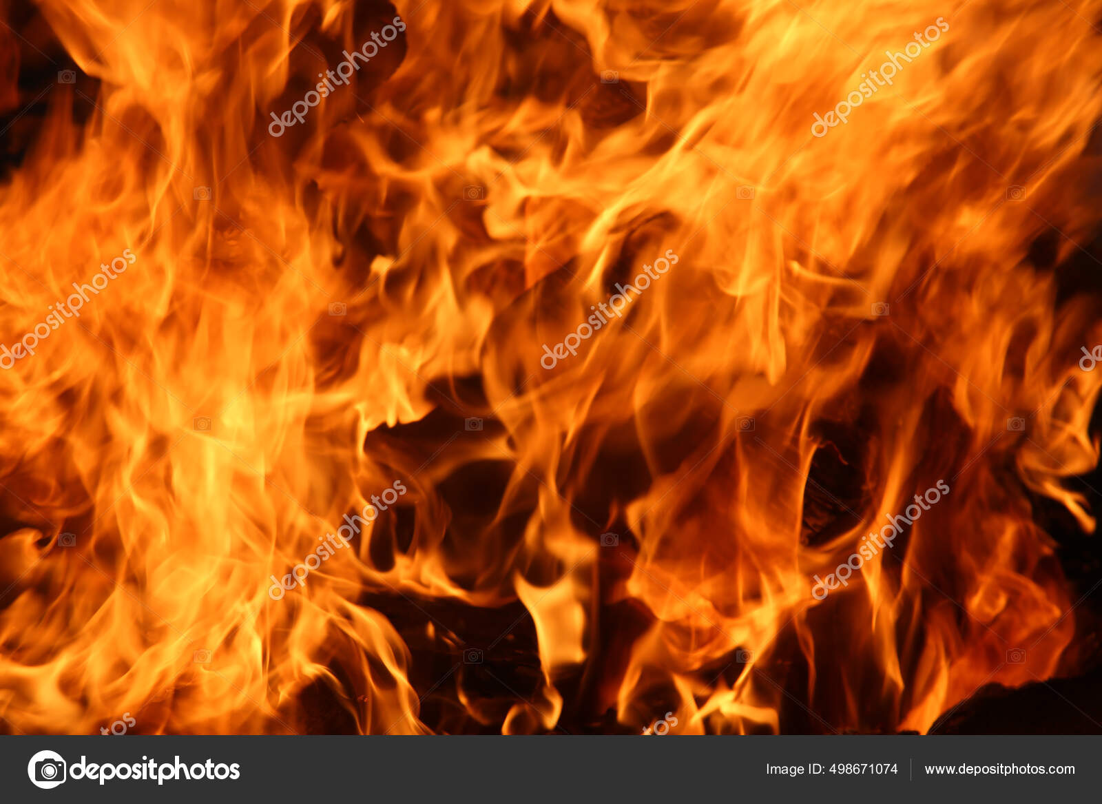 岩手副文化探索学会（旧Paradise Iwate） | Facebook, image size:1600x1167