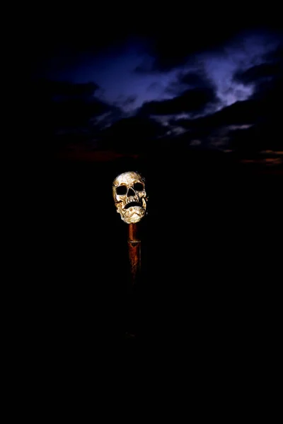 Dia Das Bruxas Caveira Humana Halloween Assustadora Crânio Humano Num — Fotografia de Stock