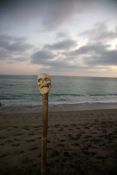 Halloween Spooky Halloween Human Skull Human Skull Bamboo Pole Beach — Stock Photo, Image