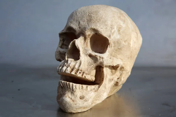 Halloween Een Halloween Schedel Schedel Kruis Botten Griezelig Menselijk Skelet — Stockfoto