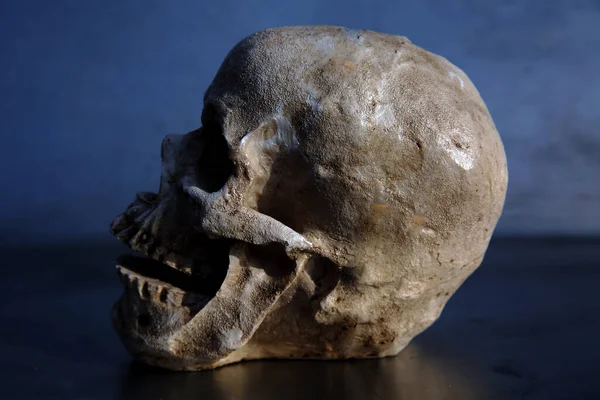 Covid 19ハロウィン人間の頭蓋骨 ブラックに隔離された不気味な怪物人間の頭蓋骨 コロナウイルス黒で人間の頭蓋骨 Covy ハロウィンスカル 不気味なハロウィンスカルは黒で隔離されました — ストック写真