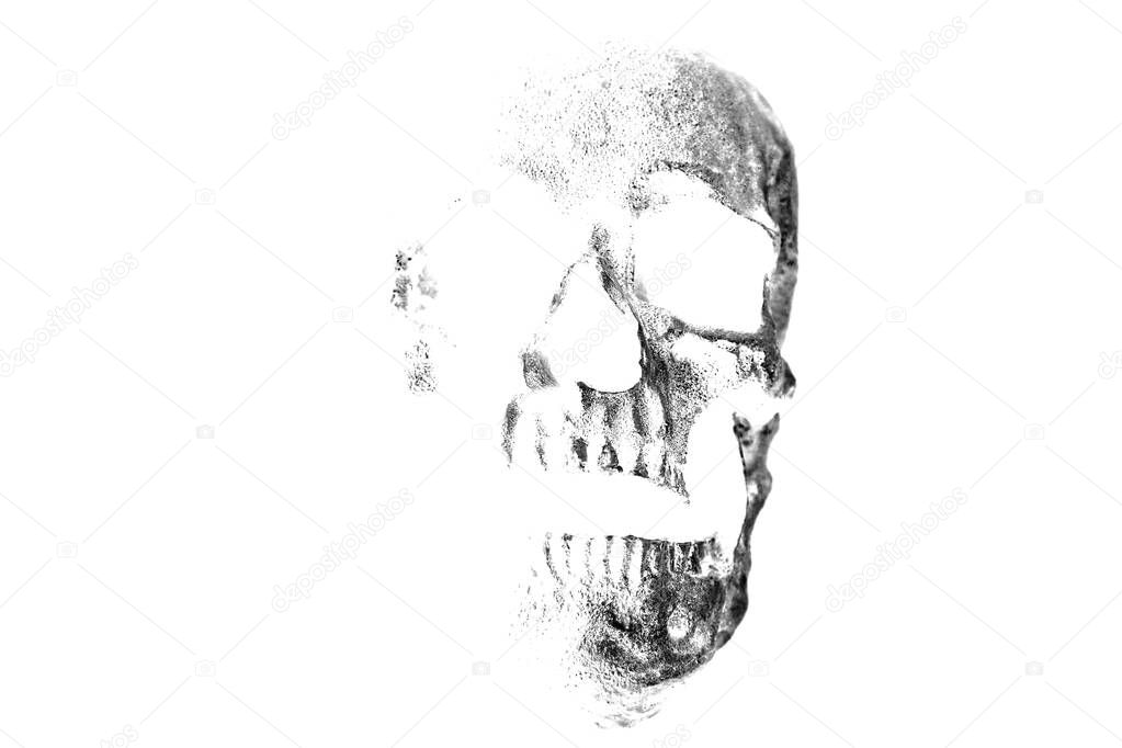 Halloween Skull. Spooky Halloween Skull isolated on black. Covid-19 Halloween Human Skull. A Spooky Monstrous Human Skull Isolated on Black. Coronavirus Human Skull in black. Covid-19. Coronavirus. Death due to Covid-19. Halloween human skull. Evil. 