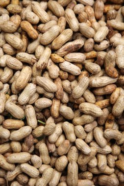 peanuts. roasted peanuts. raw peanuts. peanuts in bulk for sale.