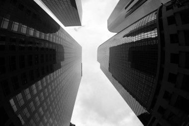 Fish Eye Lens View of Skyscrapers seen from the ground up. Sky Scrapers photographed through a Fish Eye lens. Downtown buildings in any large city. Los Angeles, Chicago, New York, Tokyo.
