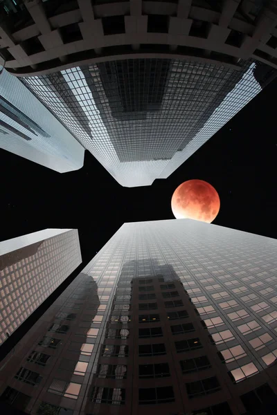 Fish Eye Lens View Skyscrapers Seen Ground Sky Scrapers Photographed — Stok fotoğraf