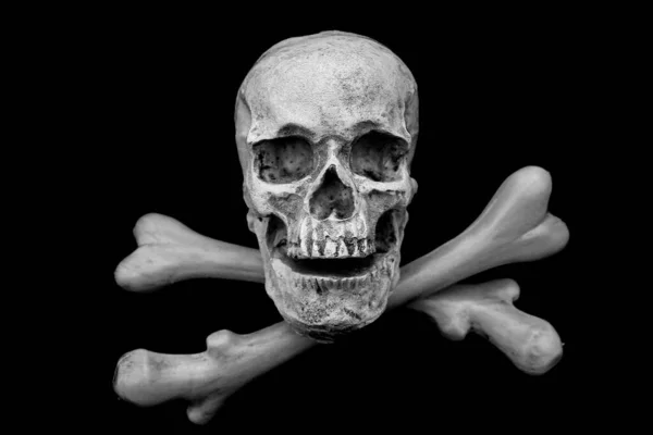 Halloween Skull Läskiga Halloween Skull Isolerad Svart Covid Halloween Människoskalle — Stockfoto