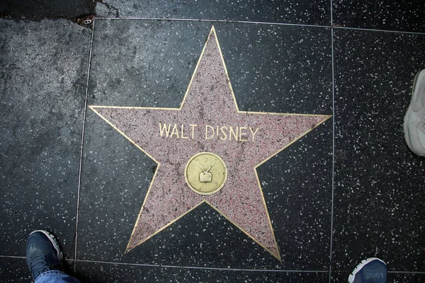 Walt Disney Hollywood Şöhret Yolu Nun Yıldızı — Stok fotoğraf