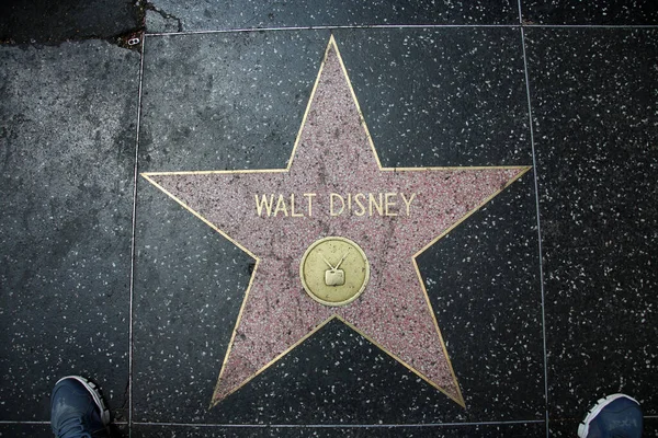 Walt Disney Stjärna Hollywood Walk Fame — Stockfoto