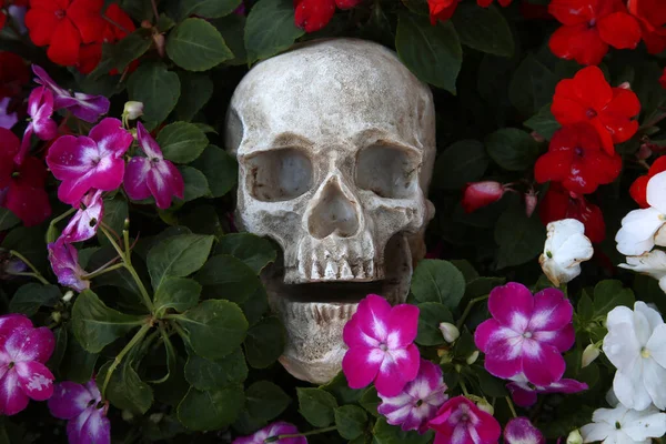 Dia Das Bruxas Crânio Com Flores Halloween Crânio Humano Belas — Fotografia de Stock
