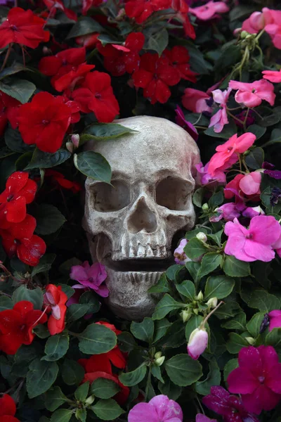 Dia Das Bruxas Crânio Com Flores Halloween Crânio Humano Belas — Fotografia de Stock