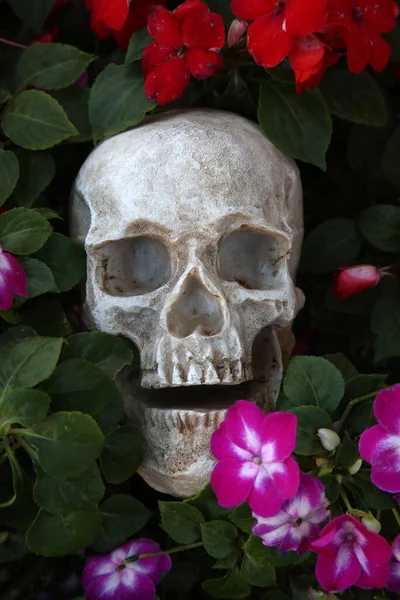 Halloween. Skull with flowers. Halloween Human Skull in Beautiful Flowers. Spooky Halloween images. Day of the Dead. Cycle of Life. Flowers of life. Crime Scene. Human Skull buried in dirt in a crime scene. Murder. Serial Killer. Buried in dirt. dead