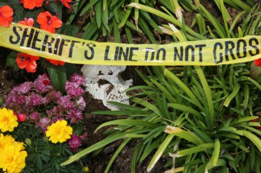 Cadılar Bayramı. Suç mahalli. İnsan Kafatası bir suç mahallinde toprağa gömülü. Şerif hattı uyarı şeridini geçmez. Polis bandıyla cinayet mahalli. İskelet kısmen çöle gömülmüş. Olay Yeri İnceleme. Cinayet mahalli. CSI Araştırması. 