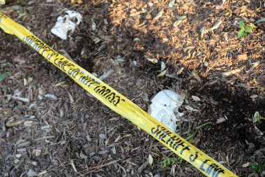 Suç mahalli. İnsan Kafatası bir suç mahallinde toprağa gömülü. Şerif hattı uyarı şeridini geçmez. Polis bandıyla cinayet mahalli.