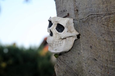 Suç mahalli. İnsan Kafatası bir suç mahallinde toprağa gömülü. Şerif hattı uyarı şeridini geçmez. Polis bandıyla cinayet mahalli.