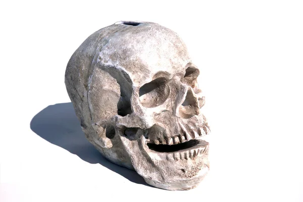 ハロウィンだ 人間の頭蓋骨 不気味なハロウィーンの人間の頭蓋骨 ハロウィンスカル 頭蓋骨と十字架骨 不気味な人間の骨格 ハロウィンの画像 ハロウィーンと死の概念 スカル ピギーバンク — ストック写真