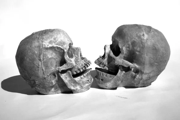 Halloween Människans Dödskalle Läskiga Halloween Människoskalle Halloween Skull Skull Och — Stockfoto