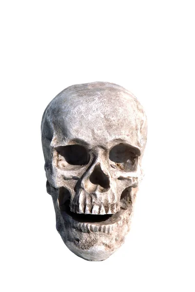 ハロウィンだ 人間の頭蓋骨 不気味なハロウィーンの人間の頭蓋骨 ハロウィンスカル 頭蓋骨と十字架骨 不気味な人間の骨格 ハロウィンの画像 ハロウィーンと死の概念 スカル ピギーバンク — ストック写真