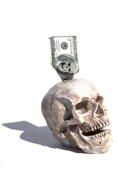 Halloween Lidská Lebka Strašidelný Halloween Human Skull Halloween Skull Lebka — Stock fotografie