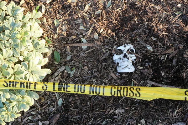 Σκηνή Εγκλήματος Ανθρώπινο Κρανίο Θαμμένο Χώμα Τόπο Εγκλήματος Σερίφη Γραμμή — Φωτογραφία Αρχείου