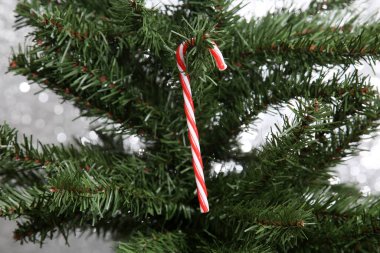 Noel ağacı süslemeleri bir Noel kürkü ağacında. Xmas Ağacı. Noel ağacı. Noel Ağacı Süslemeleri.  