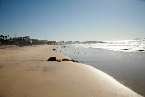 Border Field State Park Spiaggia Confine Campo Ysidro California Che — Foto Stock