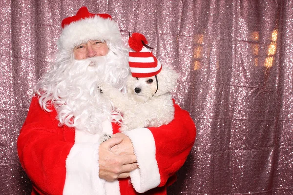 Santa Claus Dog Santa Holds Small White Bichon Frise Dog — Stock fotografie