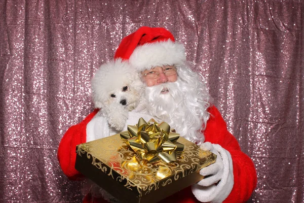 Santa Claus Dog Santa Holds Small Morkie Dog Gold Christmas — Stock fotografie