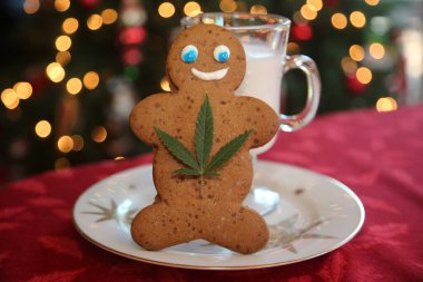 Noel zamanı. Yenilebilir marihuana. Zencefilli çörek adam. Noel Baba 'nın Yenilebilir ve Marihuana Ürünleri hediyesi. Marihuana Noel 'i Kenevirli zencefilli ekmek adam. Esrarlı zencefilli kurabiye adam. Eğlence amaçlı esrar. Noel hediyesi. Noel hediyesi. Uçmuş.. 