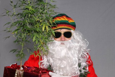 Rastafarian Noel Baba. Rasta Claus 'da marihuana bitkileri var. Noel hediyesi olarak marihuana bitkileri. Kenevir bitkisi hediyesi. Noel Baba 'nın Noel Baba' ya sunduğu eğlence amaçlı veya tıbbi marihuana fabrikaları. Marihuana Noel 'i Kenevirli Noel Baba.