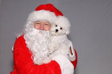 Noel Baba 'nın elinde bir Bichon Frise Dog var. Santa, Saf Bichon Frise köpeğini bir fotoğraf için tutuyor. Beyazda izole edilmiş. Mutlu noeller. Noel Baba. Noel Baba, Noel için bir köpekle poz verir, Noel tatili resimleri. Köpekler Noel Baba 'yı sever. Noel Baba Köpekleri Seviyor.