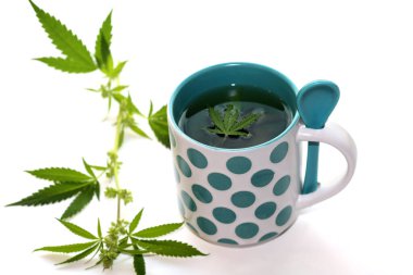 Yeşil marihuana yapraklı çay fincanında kenevir çayı. Uyku ve endişe için tıbbi amaçlar. Marihuana çayı ve sağlıklı içecek konsepti. Esrar yapraklı kenevir çayı. Tıbbi marihuana çayı. Marihuana Yapraklı Esrar Çayı. 