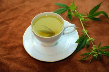 Yeşil marihuana yapraklı çay fincanında kenevir çayı. Uyku ve endişe için tıbbi amaçlar. Marihuana çayı ve sağlıklı içecek konsepti. Esrar yapraklı kenevir çayı. Tıbbi marihuana çayı. Marihuana Yapraklı Esrar Çayı. 