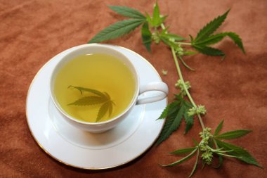 Yeşil marihuana yapraklı çay fincanında kenevir çayı. Uyku ve endişe için tıbbi amaçlar. Marihuana çayı ve sağlıklı içecek konsepti. Esrar yapraklı kenevir çayı. Tıbbi marihuana çayı. Marihuana Yapraklı Esrar Çayı. 