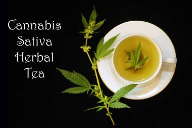 Yeşil marihuana yapraklı çay fincanında kenevir çayı. Uyku ve endişe için tıbbi amaçlar. Marihuana çayı ve sağlıklı içecek konsepti. Esrar yapraklı kenevir çayı. Tıbbi marihuana çayı. Marihuana Yapraklı Esrar Çayı. 
