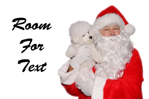 Kerstman Heeft Een Bichon Frise Dog Santa Houdt Zijn Pure — Stockfoto