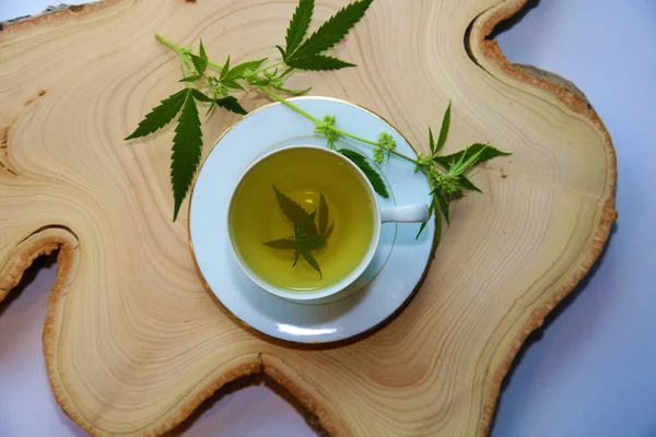 Cannabis herbal tea in tea cup with green marijuana leaves. Medical purposes for sleep and anxiety. Marijuana tea and healthy drinks concept. Cannabis herbal tea with marijuana leaves. Medical Marijuana Tea. Cannabis Tea with Marijuana Leaves.