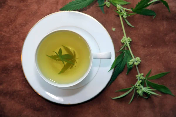 Hierbas Cannabis Taza Con Hojas Marihuana Verde Propósitos Médicos Para — Foto de Stock