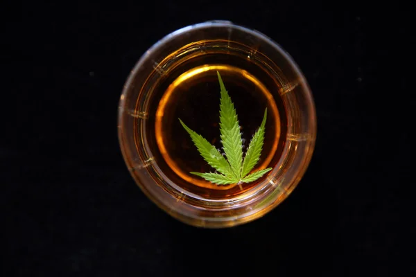 Whisky Con Hoja Marihuana Fondo Terciopelo Negro Licor Cannabis Bebida — Foto de Stock